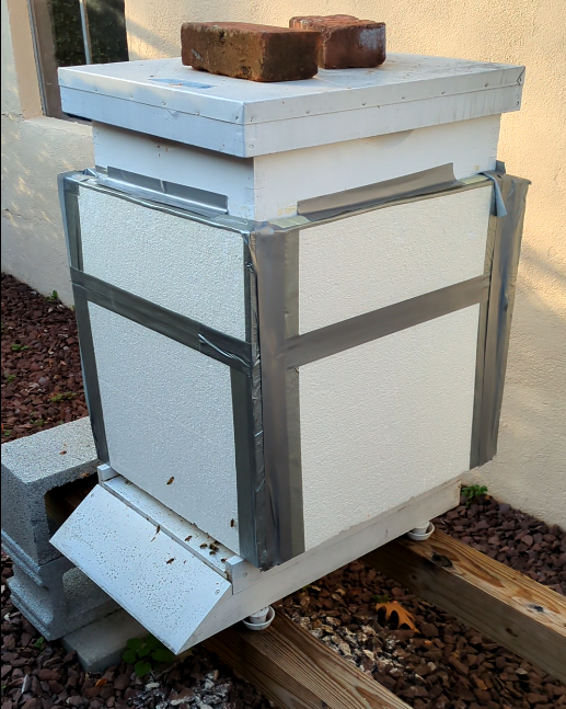 winterized beehive covered in styrofoam insulation