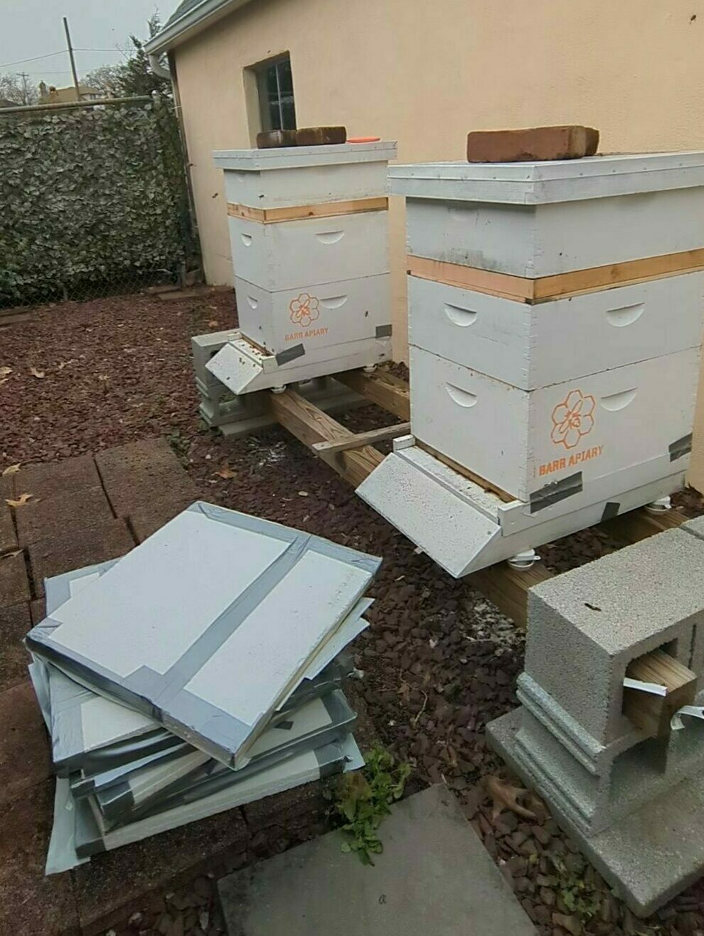 two hives in an apiary with insulated winter covers removed