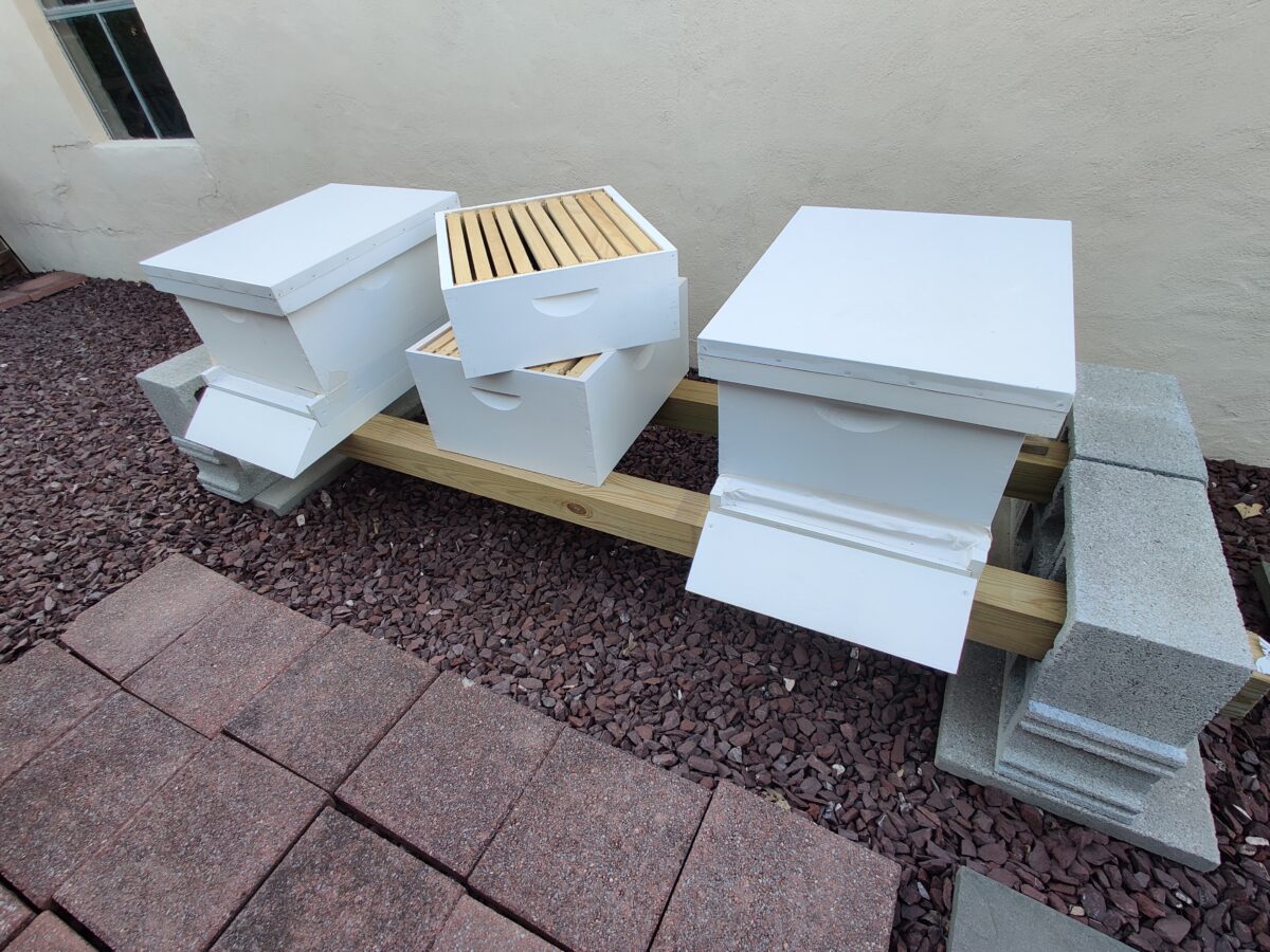 two hives in my apiary